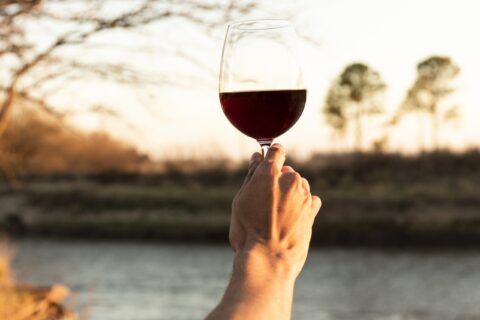 Vino tinto sin alcohol